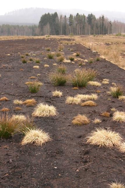 Velká část projektu je věnována veřejnosti a šíření znalostí o vodě, vodním režimu, úloze mokřadů v krajině a důležitosti jejich obnovy. Vznikne např.