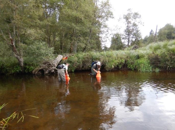 1. 6. 2018 byla zahájena rekonstrukce hydrobiologické stanice Dobrá, která bude dokončena koncem února 2019.
