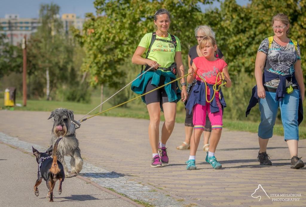 3. Přednáška Cesta do psí duše - poděkování Krásný den, paní Míšo, děkuji moc za zprávu. Vaše přednáška hodně dala nejen mně, ale i mojí Rozárce (9 let).