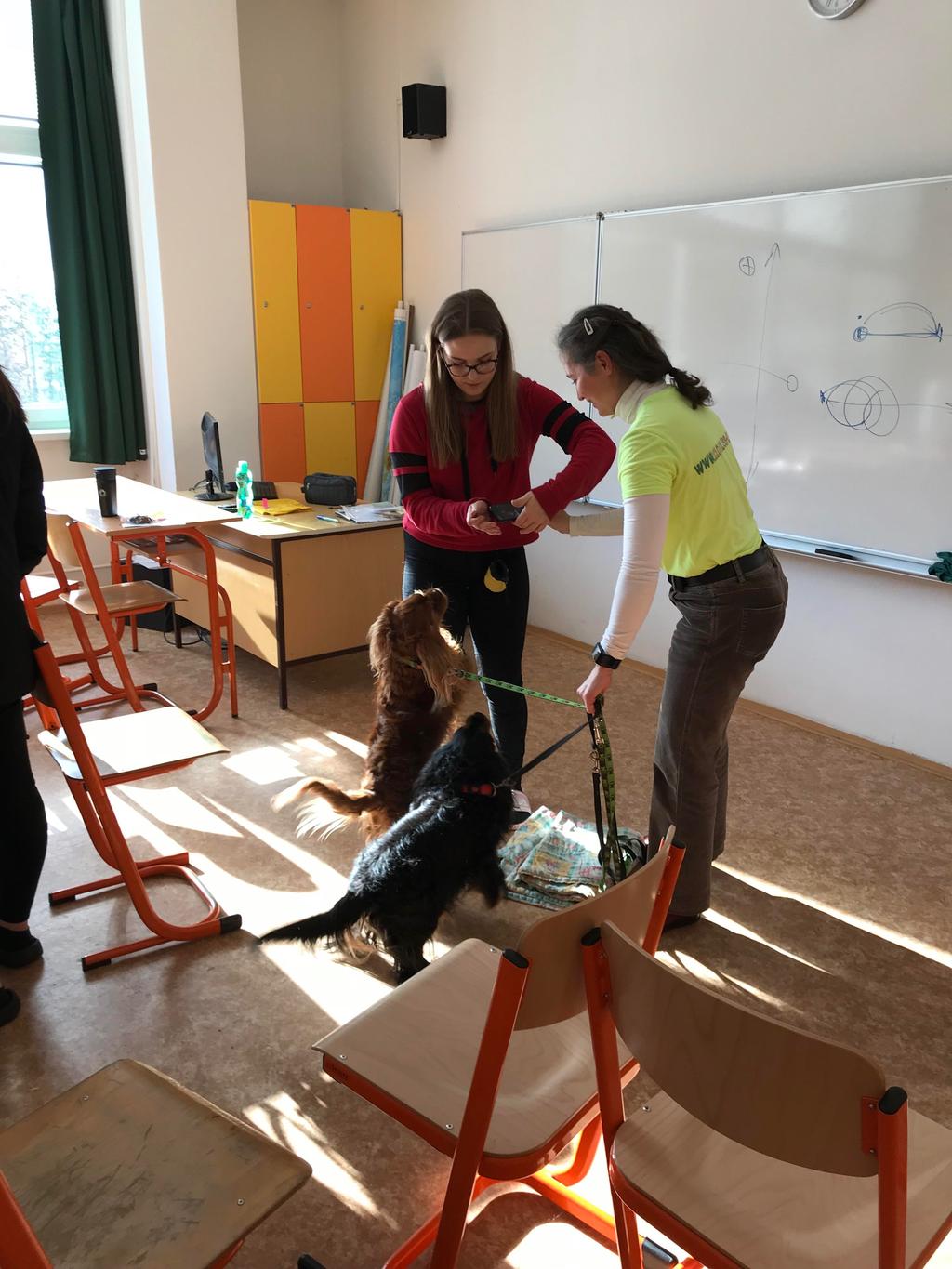 svém oboru. Den byl nabytý inspiraci a informacemi z praxe. Jedním z workshopů byl také workshop Ing. Michaely Drábkové Ph.D., která je Koučkou pro komunikaci se psy.