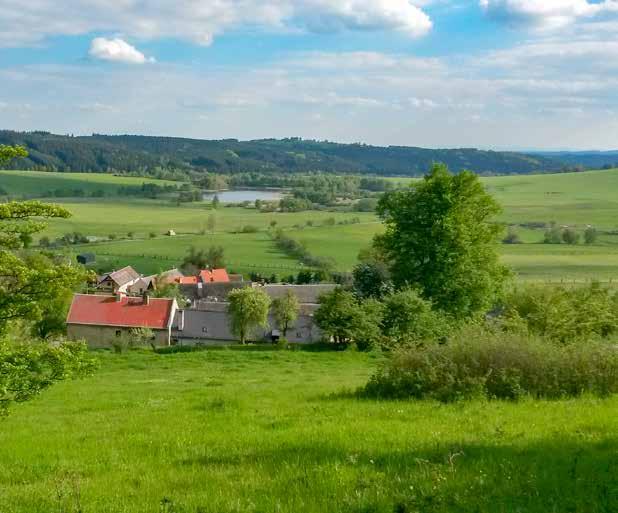 Výroční zpráva 2017 BIOINSTITUT o. p. s.