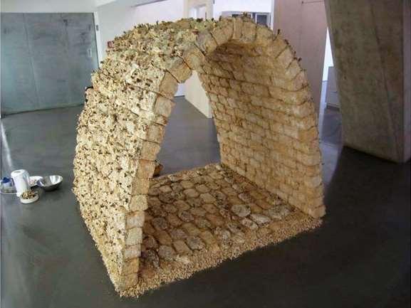 ) http://www.treehugger.