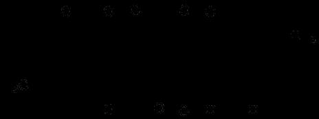 Phialocephala