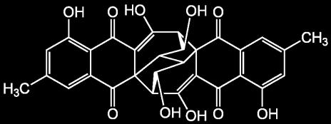 (Helotiales,