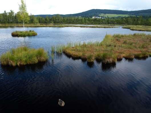 hutnými hroudami, tlející kmeny s velkým průměrem, ) - při intenzivním metabolizmu se hromadí CO 2