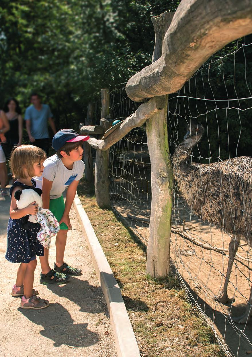 čistá RADOST dětem Zoo Jihlava Čistá radost dětem V jednom jediném odpoledni procestujete pět kontinentů, uvidíte přes 200 druhů exotických zvířat, prohlédnete si tropický pavilon, africkou vesnici