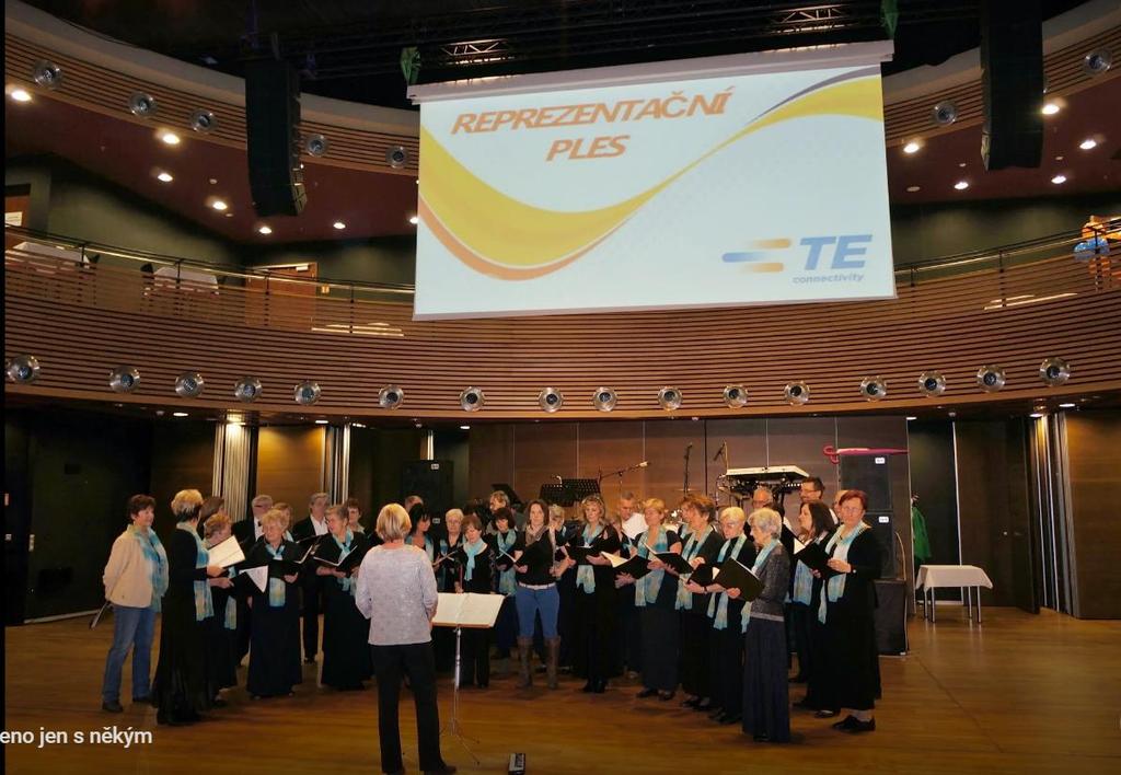 Vystoupili jsme na plese firmy Tyco 29.11. 2014 https://www.zonerama.