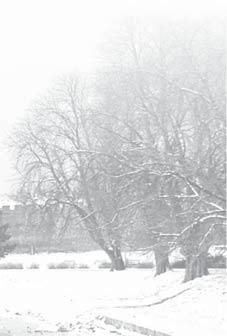 Při použití značky na fotografiích platí, že by značka měla být umístěna mimo ústřední