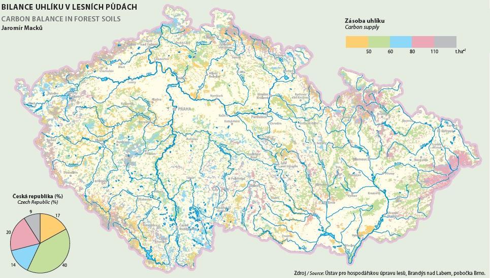 Obr. 11: Množství uhlíku v organominerálním horizontu dle druhu dřevin Zdroj: Frouz a kol. 2009 5.3.