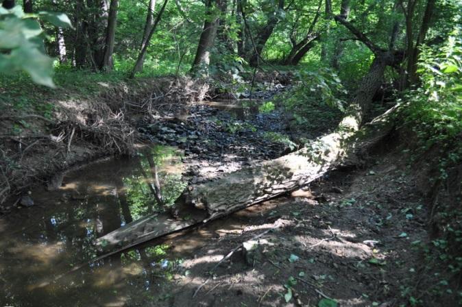 Zdroj: EKOTOXA H26 Žabník: Přirozeně renaturalizovaný
