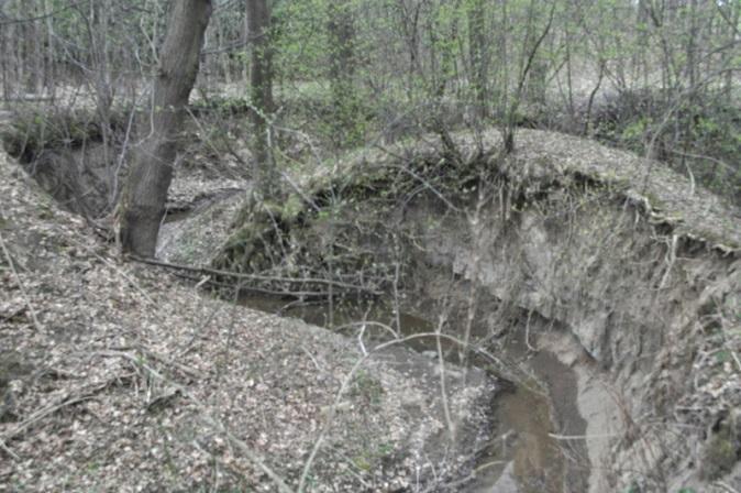 2 EKOLOGICKÉ ZÁVADY NA VYBRANÝCH TOCÍCH Z1 Hlubocký potok: