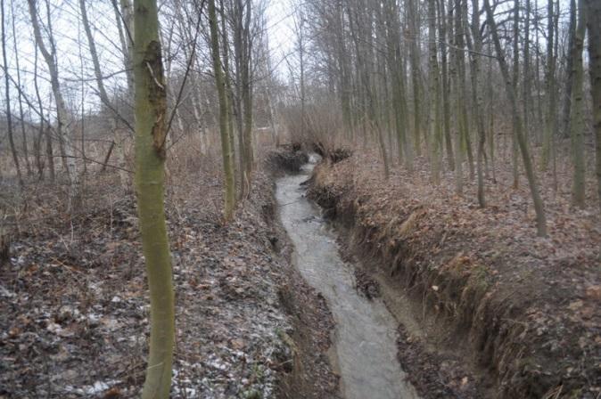 Zdroj: EKOTOXA Z2 Milotický potok: Problém akcelerované hloubkové