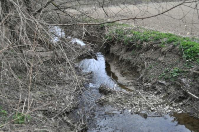 projevy samovolné renaturace, chybí ochranná břehová a doprovodná zeleně podél toku, která by bránila 