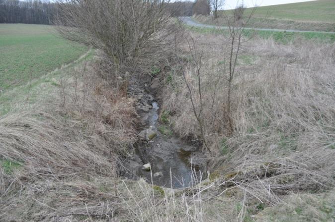 doprovodná zeleně podél toku, která by bránila  Zdroj: EKOTOXA Z8b Hlubocký potok: Napřímené a