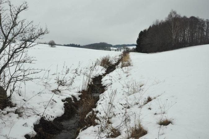 břehová a doprovodná zeleně podél toku, která by bránila  Zdroj: EKOTOXA Z9 Koutecký potok: Napřímené