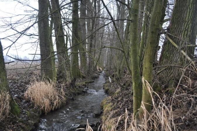 Z10a Mraznice: Historicky napřímené koryto toku, nadměrně stabilizované s degradovaným opevněním a jen mírnými projevy