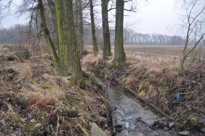 Zdroj: EKOTOXA Z10b Mraznice: Historicky napřímené koryto toku, nadměrně stabilizované s degradovaným opevněním (viz