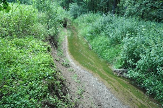 krajině, suché koryto bez vody.