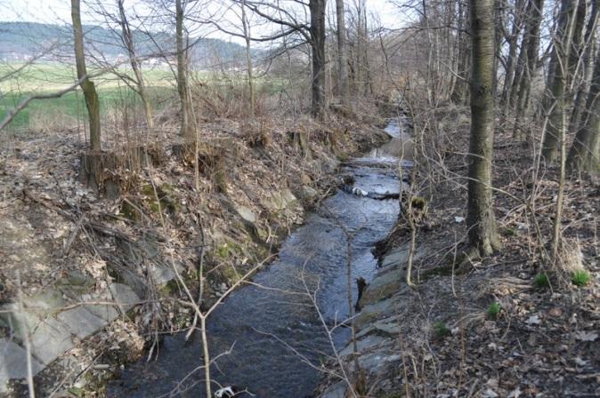renaturalizačními procesy formou degradace opevnění.