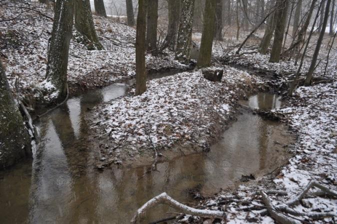 H11a Račí potok: Přírodě blízký úsek toku se samovolným