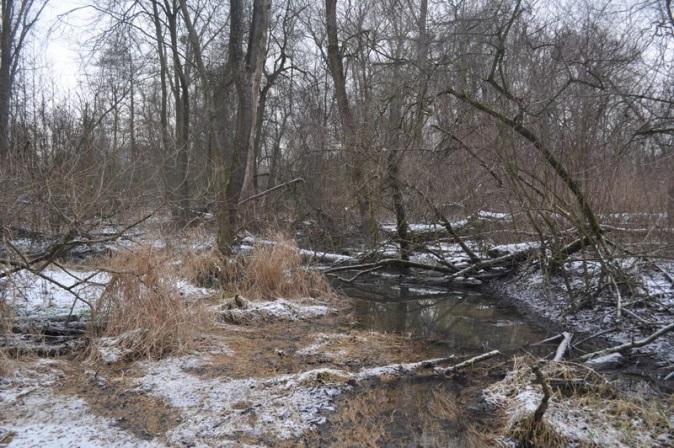 blízký vodní tok s nevýznamnými zásahy do koryta toku, se