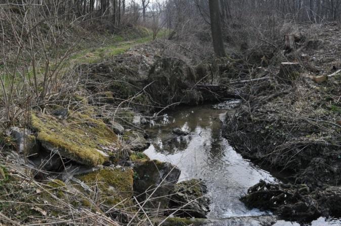 meandrující koryto toku ve volné krajině.