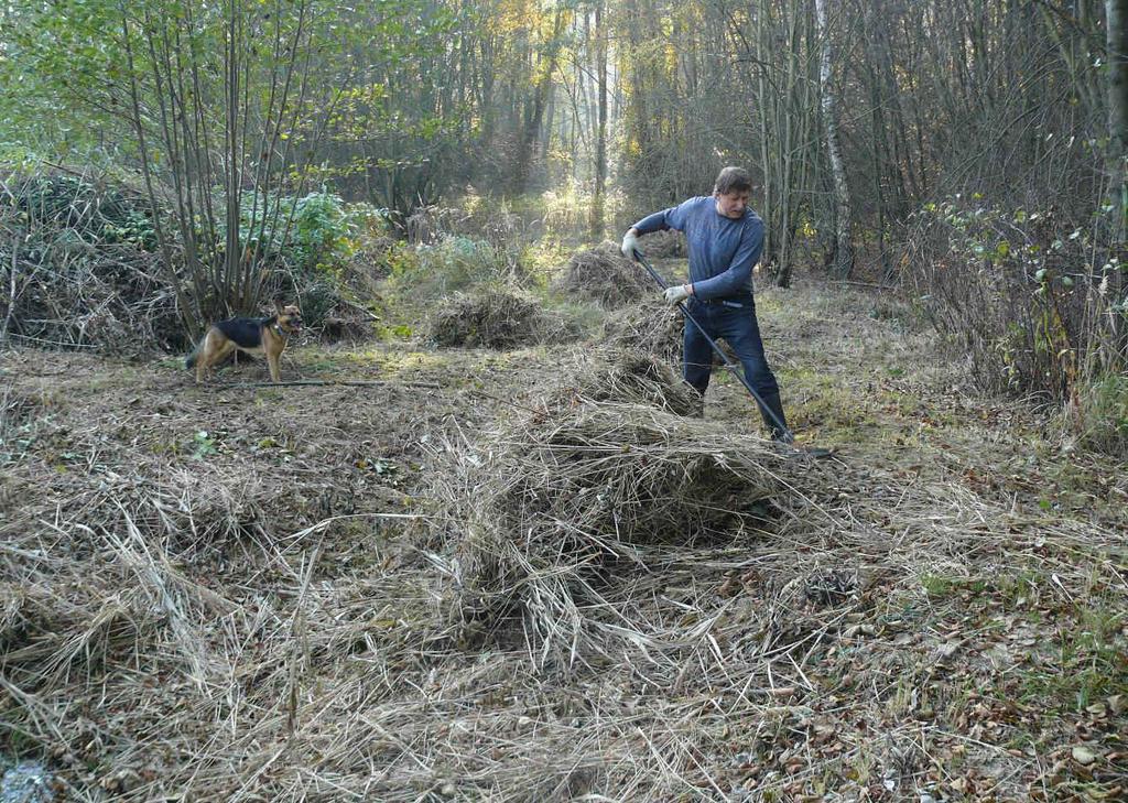 Foto 3: Úklid travní hmoty a rákosu mezi