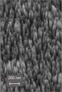It was found that morphology of diamond films strongly influences the cells adhesion, proliferation and differentiation.