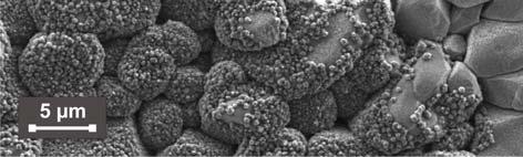 The effectiveness of the developed procedure was similar to the observed in direct seeding layer modification and is characterized by residual diamond crystals density about 10 5 cm -2, i.e. approaching to the technological limit [15].
