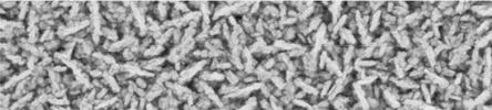 Further increasing of oxygen content in the growth mixture caused decreasing of growth rate, and has negligible influence onto diamond film purity which is in agreement with work of Y. Liou et al.