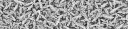 Another set of studies was devoted to the change of hydrogen amount in the growth mixture [B24].