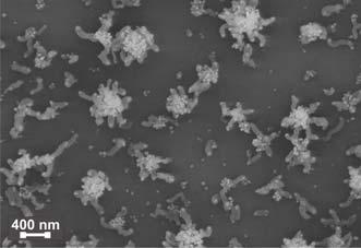 different size, but generally smaller than for 5 min annealing. It has been supposed H 2 plasma etching of nickel [69] similar to effect of NH 3 plasma [70].