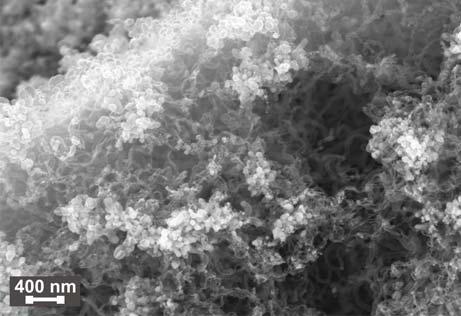 concentration in H 2 of 10% and 40%. The negative bias potential applied to samples was in magnitude of 200 V. After the deposition the samples were analyzed by SEM as provided by K. Hruška.
