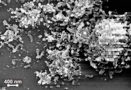 The growth of nanotubes with diameter in range from 20 to 100 nm was observed in both cases (Fig. 23). However, CH 4 concentration of 10% results to better, i.e. more dense and longer, structures (Fig.