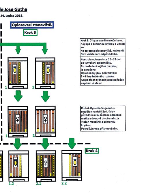 Profesionální chov matek i pro amatéry Metoda Jose Gutha by se také mohla jmenovat metoda z jednoho deset, z padesáti pět set, což poukazuje na to, kolik se dá z jednoho nástavku Mini-plus běžně