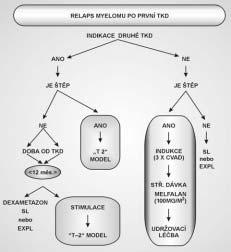 Schéma 2. Rozhodovací strategie relapsu mnohoãetného myelomu po autologní transplantaci.