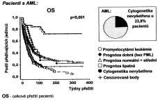 Obr. 3: PfieÏití pacientû s rûzn m typem konsolidaãní léãby. Obr. 4: Transplantace v KR a mimo KR. Obr. 5: Anal za pfieïití dle cytogenetiky. Obr. 6: Anal za pfieïití s ohledem na pfiípady s Ph pozitivním nálezem.