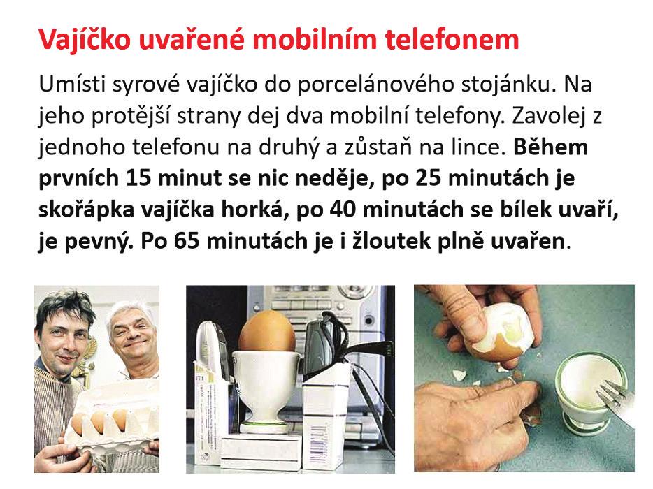 Aktivita