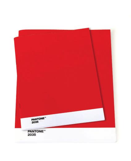 12 Zápisník set dvou sešitů (S a L) PANTONE Work kat.č. 10143 nelinkovaný papír, 120 gr. vel. L: 220 x 170 x 5 mm vel. S: 170 x 120 x 5 mm Pro vaše poznámky a kreativní kreslení.