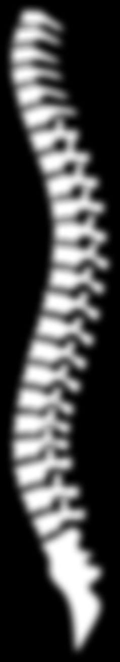 Klinika spondylochirurgie 1.