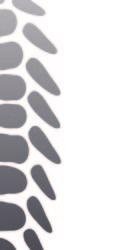 Trabecular Metal Technology Solutions