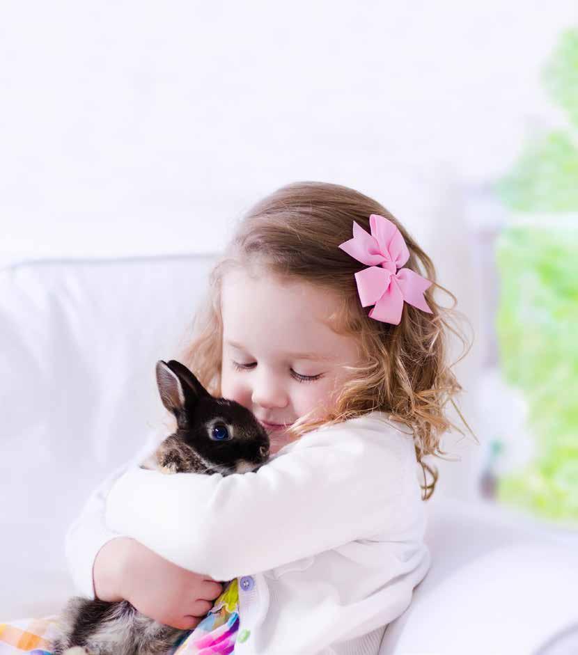 Den dětí oslavte v Pet Center! My vám poradíme, jak na to! Pokud si přejí vaše děti nového domácího mazlíčka, důkladně zvažte všechna pro a proti, než se k tomuto kroku odhodláte.
