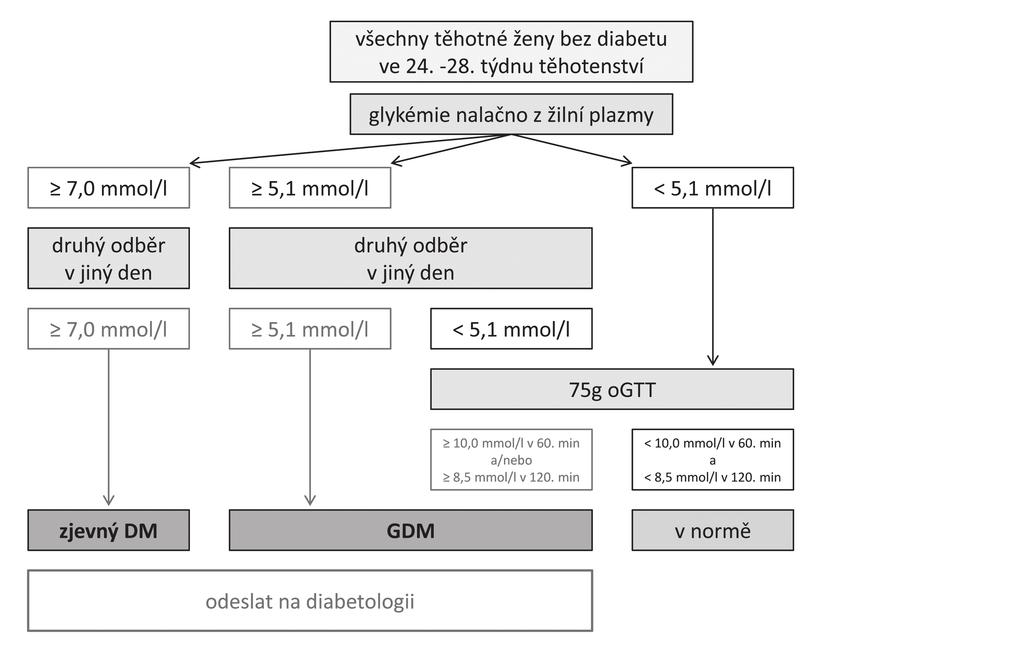 Příloha 3. Gestační diabetes mellitus. II.