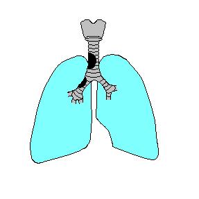 Obstrukční porucha plicní ventilace omezení průchodnosti dýchacích cest zúžení horních