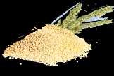 MOUKY Alternativní mouky jsou hodnotnější než běžná mouka a dodají nový rozměr všem pokrmům a dezertům.