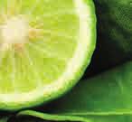 BIO BERGAMOT B0019, dop.