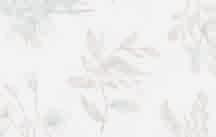 Užijte si každý den!