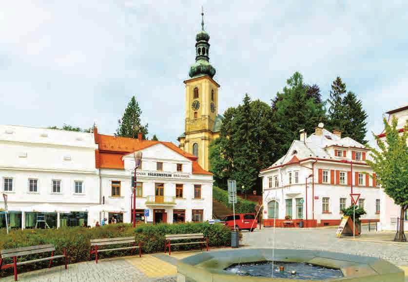 5 ROZHOVOR Jaké byly Vaše začátky v podnikání s přírodní kosmetikou? Co předcházelo vzniku Nobilis Tilia?