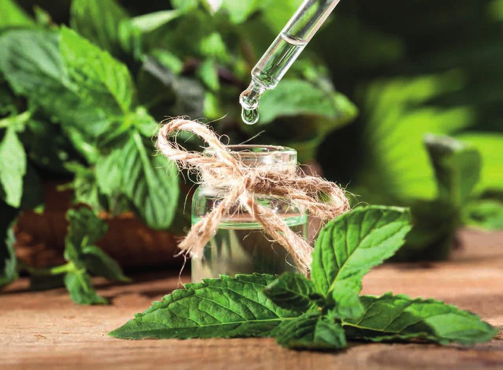 8 TÉMA AROMATERAPIE JE VĚDA I UMĚNÍ V JEDNÉ KAPCE Aromaterapie není vše, co voní. Aby měly vůně také léčivé účinky, musejí mít svůj původ v léčivých rostlinách.