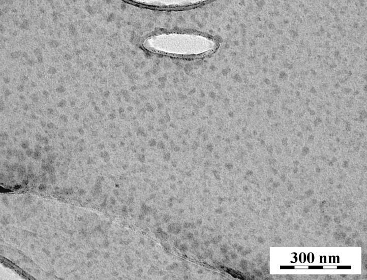Figure 5. TEM image of PSCI 62 -PEO 259 PIC particles in 0.1 M HCl, for apparent degree of neutralization DN = 90 %. 3.1.2 Particles prepared in 0.